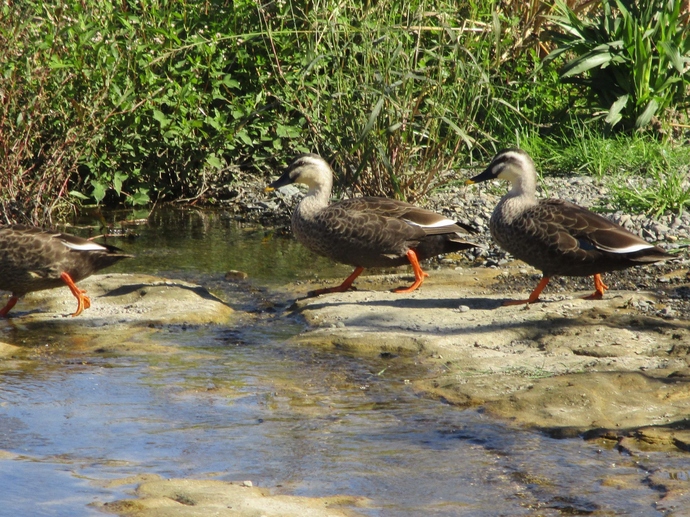 家族で引っ越し