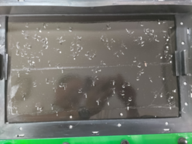 株式会社ヒノショーの製品　捕獲状況の写真