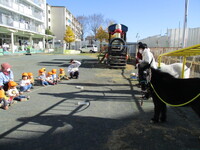 ジャックとダンディの写真