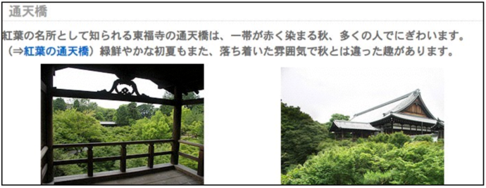 写真：Web閲覧支援