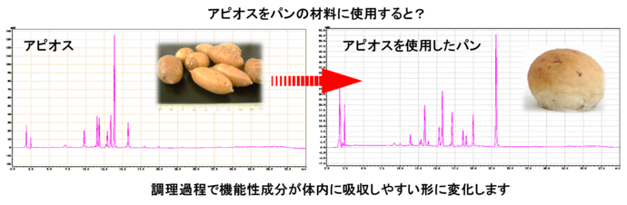 写真：アピオスをパンの材料に使用した場合のグラフ「調理過程で機能性成分が体内に吸収しやすい形に変化します」