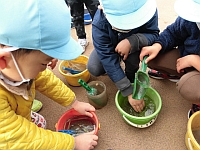 写真:バケツの中に氷ができている様子