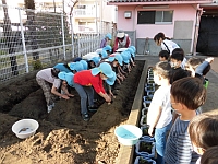 写真:植えている様子を3歳児クラスが見ている様子