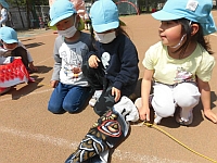 写真:こいのぼりにひもをつけたところ