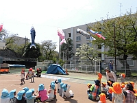 写真:こいのぼりがあがった様子