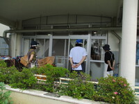 保育参観の様子の写真