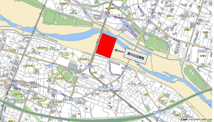 シカの出没場所(立日橋東側)