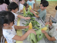 トウモロコシの写真