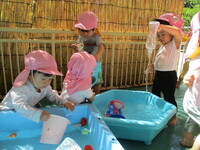 プール遊びの様子の写真