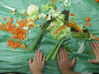 野菜のくずの写真