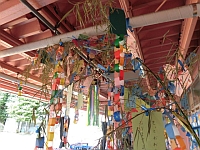 写真:七夕の笹飾り