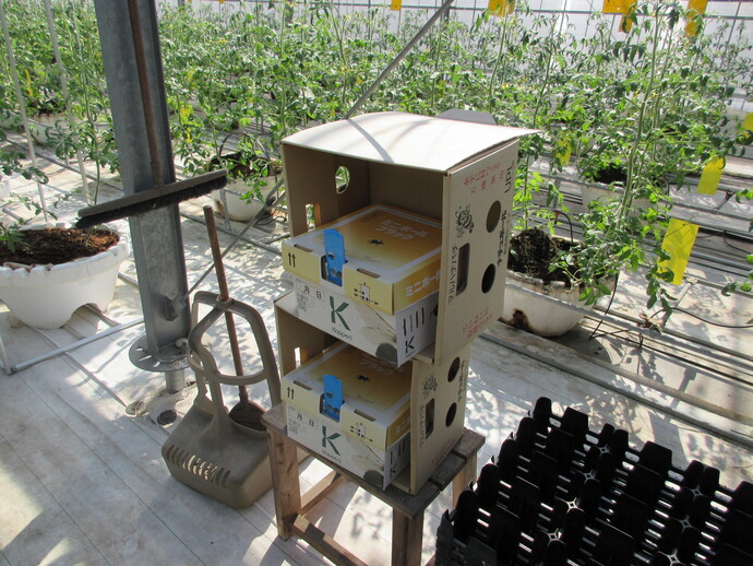 写真:蜜蜂の巣箱