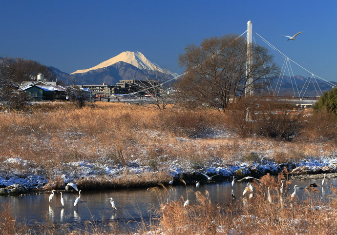 写真:『冬のあさ川情景』