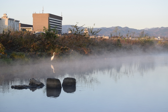写真:『川霧』