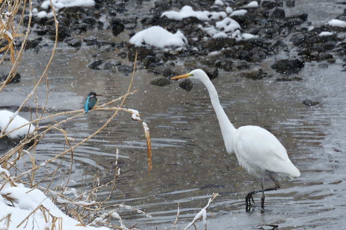 写真:『今日は寒いね~』