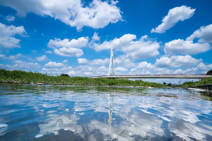 写真:『夏雲に覆われて』