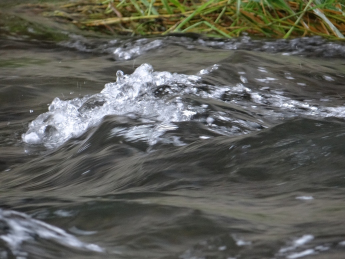 写真:浅川の現在
