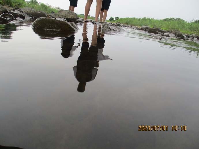 写真:ねぇ、何話してるの?