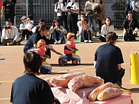 写真:1歳児クラス競技の様子