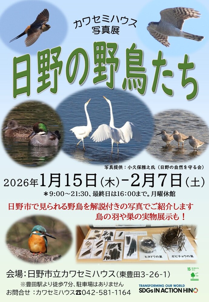 日野の野鳥たちポスター