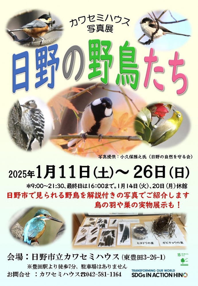 日野の野鳥たちポスター
