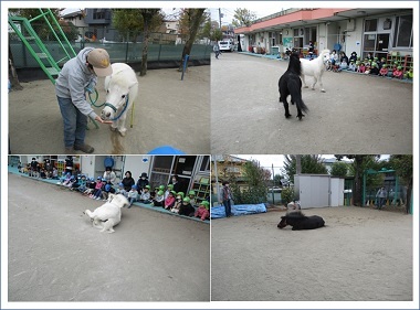 園庭を走るリトルホースの写真