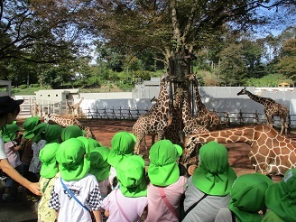 3歳児遠足キリン見る様子の写真