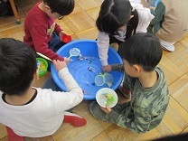 金魚すくいを楽しむ5歳児の写真