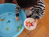 金魚すくいをする男の子の写真