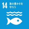 SDGsのゴール14 海の豊かさを守ろう