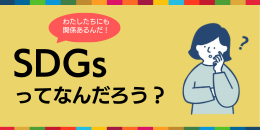 画像:SDGsってなんだろう?
