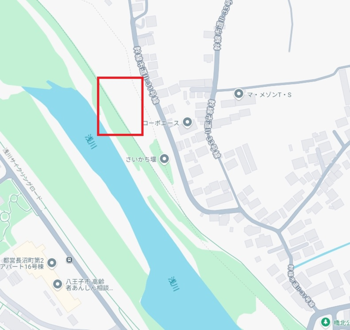 20250307目撃情報