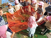 写真:1歳児の収穫の様子