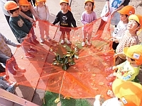 写真:3歳児の収穫の様子