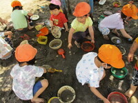 どろんこの様子の写真