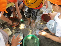 どろんこ遊びをしている様子の写真