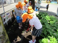 水をあげている様子の写真