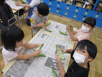 そら豆の皮むきをしている様子の写真