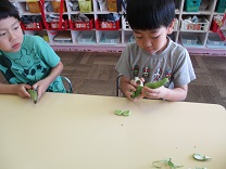 真剣な表情で皮むきをする子どもの写真