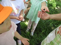 桑の実を見つけた子どもの写真