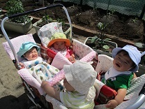 写真：0歳児の様子4