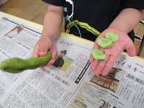 写真：そら豆さやむき豆3つ