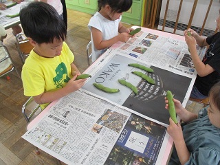 そら豆のさやむき体験をしている写真1