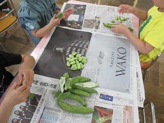 そら豆のさやむきをしている写真3