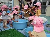 2歳児の水遊びの写真