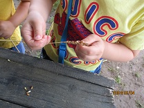 皮をむく手先の写真