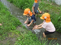 水路で遊ぶ子どもの写真