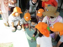 写真：蝶々5歳児2