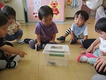 写真：蝶々1歳児1