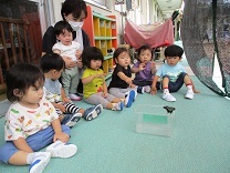 写真：蝶々1歳児3